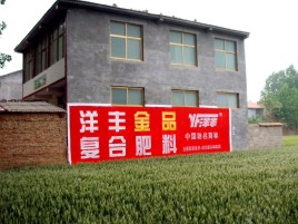 蒙自如何让墙体广告展现最大化效果